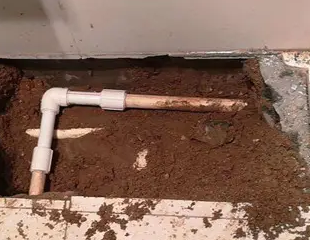 谯城测漏水哪家好