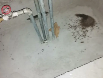 谯城卫生间测漏水价格明细