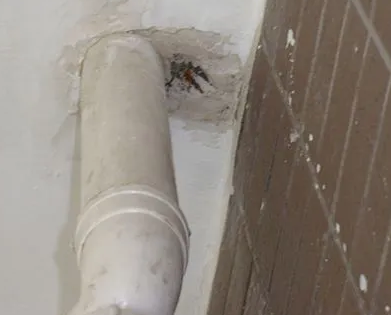 谯城漏水检测哪家好